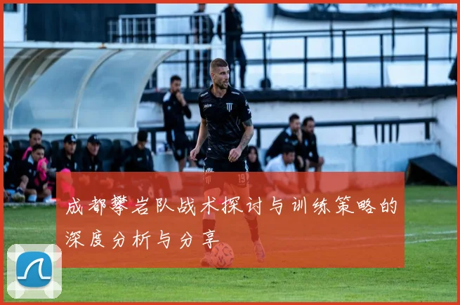 成都攀岩队战术探讨与训练策略的深度分析与分享