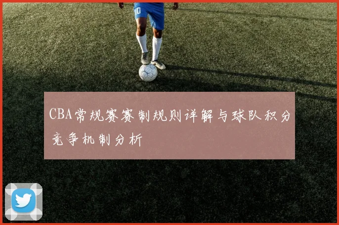 CBA常规赛赛制规则详解与球队积分竞争机制分析