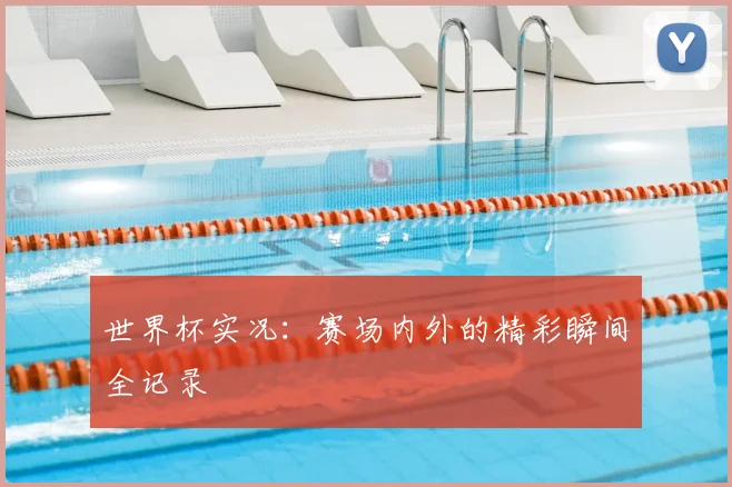 世界杯实况:赛场内外的精彩瞬间全记录