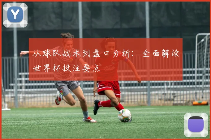 从球队战术到盘口分析：全面解读世界杯投注要点