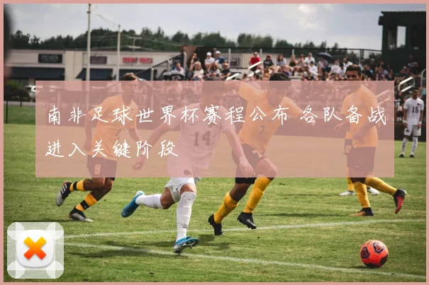 南非足球世界杯赛程公布 各队备战进入关键阶段