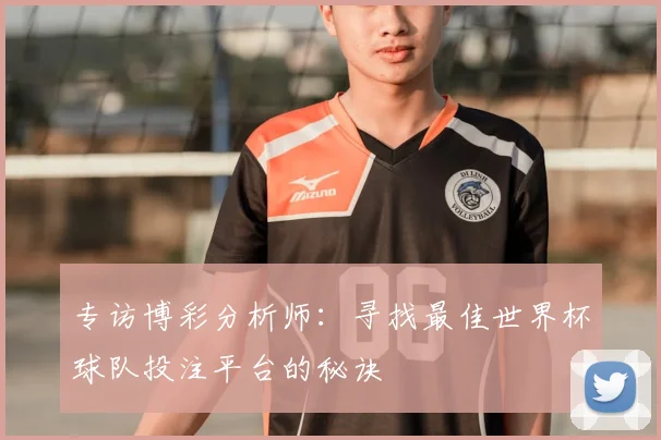 专访博彩分析师：寻找最佳世界杯球队投注平台的秘诀