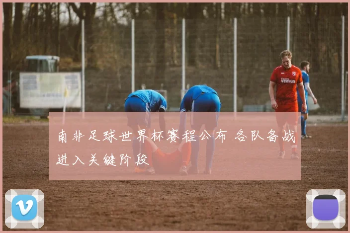 南非足球世界杯赛程公布 各队备战进入关键阶段
