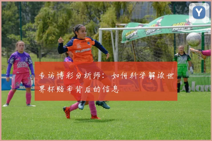 专访博彩分析师:如何科学解读世界杯赔率背后的信息