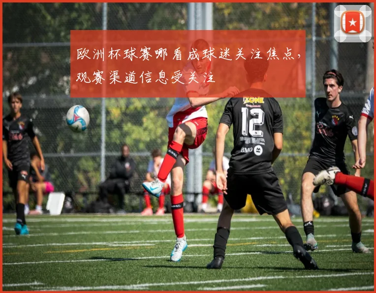 欧洲杯球赛哪看成球迷关注焦点,观赛渠道信息受关注