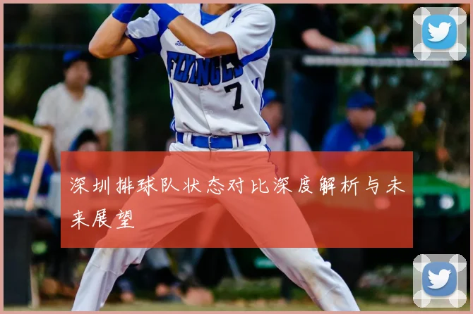 深圳排球队状态对比深度解析与未来展望