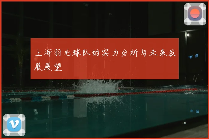 上海羽毛球队的实力分析与未来发展展望